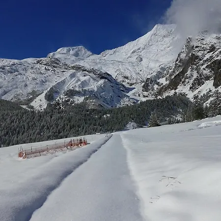 Ferienwohnung Schirli Saas-Fee